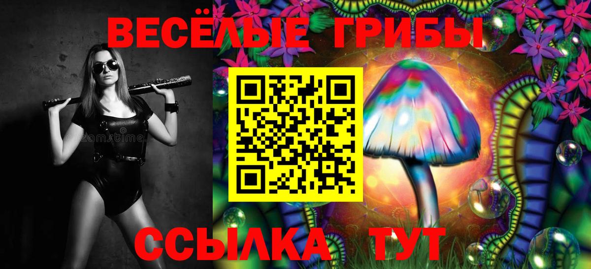 Сорочинск  Псилоцибиновые грибы мицелий  Вход с VPN 